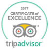 tripadvisor-color